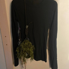 подиум +паранойя, королевский XVII