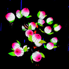 FLOWERS OF BLACK STATION