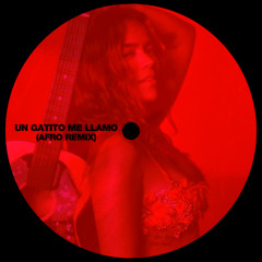 Karol G - Un Gatito Me Llamo (Renzo Leon Afro Remix)