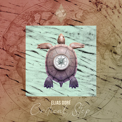 Critical Step (Sahar Z Remix)