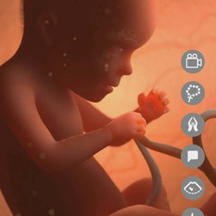 Dj.DamianR - Week 28