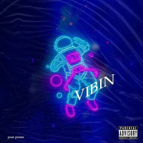 VIBIN