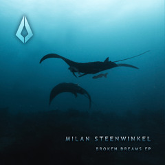 Milan Steenwinkel - Stories Left Behind