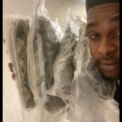 da PLUG
