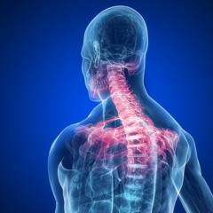 Шейный отдел