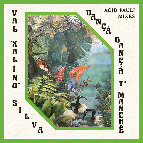 Val Xalino - Dançá Dançá T'Manchê (Acid Pauli's Sublib Dub) (Snippet)