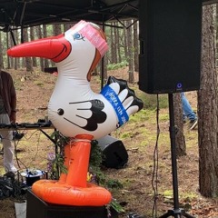 Shake that baby (Live recording @ Kraamschudden - Sky-Lab Events)