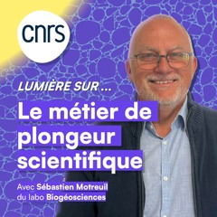 Lumière sur... Le métier de plongeur scientifique