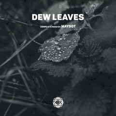 Dew Leaves [Another Life Music] compiled & mixed by Maysot