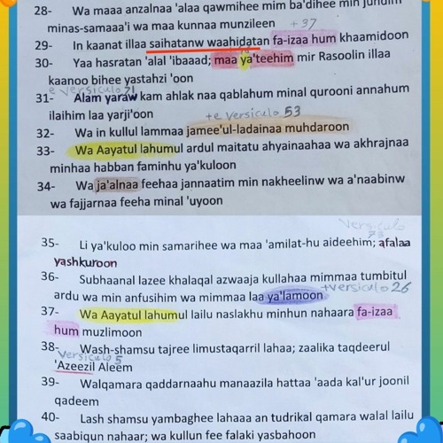 A terceira pagina da surata Ya-sin 😍 versículos de ( 28 - 40 )🌺 leitor é Mohamed Hisham Hassan 🤩