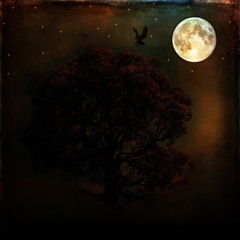 Peter Pan (prod. ESKRY)