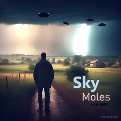 Sky Moles | RemoBit