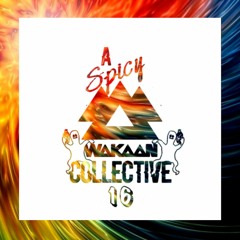 A Spicy Wakaan Collective 16