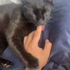 Crazy Frog - TOZA @ Intents 2025 HD