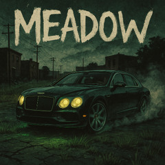 MEADOW (feat. FENTZ, Sloaner)