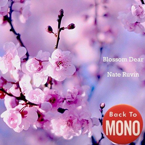 Blossom Dear (feat. Benny Koziol)