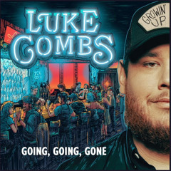 Goin, Goin, Gone - Luke Combs (Edited)