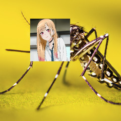 Mosquito Mating Call