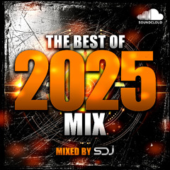 SDJ - The Best Of 2025 Mix