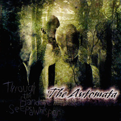 The Automata - Insincere