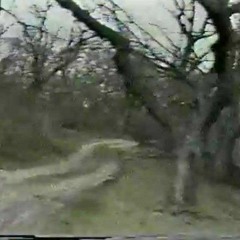 i didnt want 2 hurt u :(