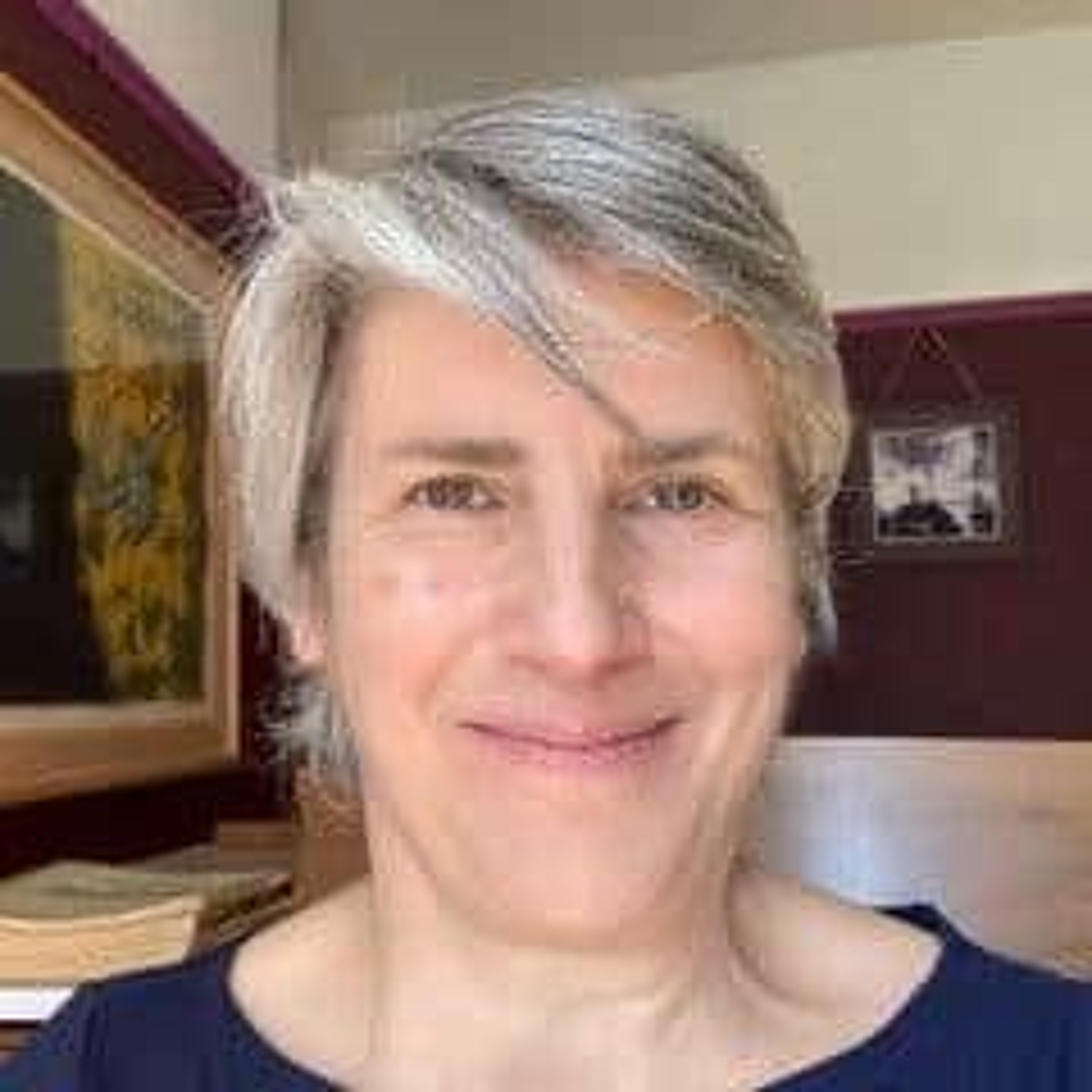 78: Professor Sarah Hill episode artwork