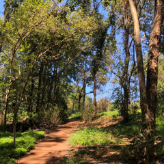 01.08.2025 - Cap. IX - Bem Aventurados os Mansos e Pacíficos - A Paciência (10)