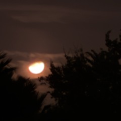 mental acılarla seks.mp3