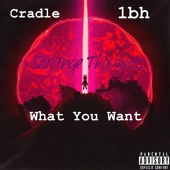 WHAT YOU WANT