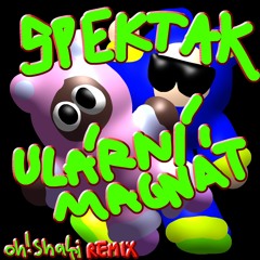 SPEKTAKULÁRNÍ MAGNÁT - PE$TR (oh!shaki remix)