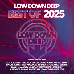 Continuous DJ Mix By Logan D (Low Down Deep Best Of 2025)