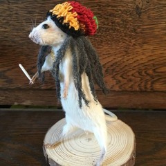 scamrats-saintayga(co prod ph4ntom)