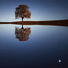 Soothing Calm Sleep (Loopable Brown Noise)