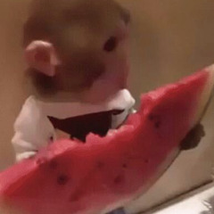 nbtf #26 | r.i.p the tilda