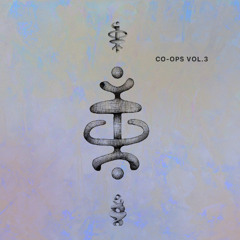 Various - CO-OPS VOL.3 [COUNTER043] preview