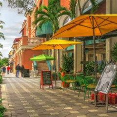Best Things To Do In Naples Florida November Tours Reviews