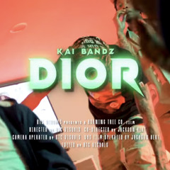 Kai Bandz - Dior