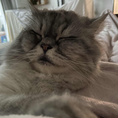 dubset faebsy 03.25 Eclipse -Helgas Stadtpalast