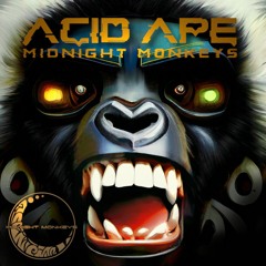 Midnight Monkeys - Acid Ape (120bpm) [FREE DOWNLOAD]
