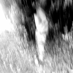 Adelaide Interlude (prod. Laniie)