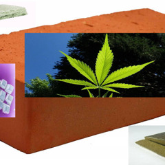 sekairotten + henjinmoralfag - domino / prod. @phianite1791