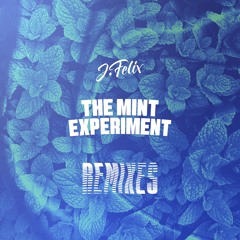 Just Like a Queen (Donnie Todd Remix)