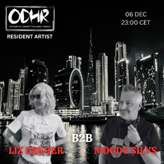 Liz Dreher B2B Moody Silvs- ODHR