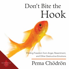 Don't Bite the Hook by Pema Chodron - Sample