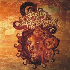 S červy nejsou žerty (split cd with Purulent Spermcanal)2020