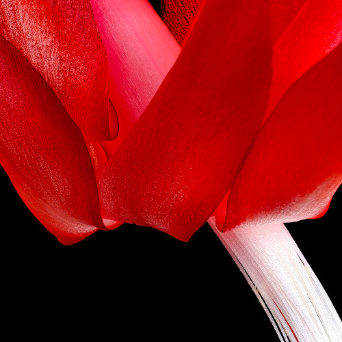 She has some skills I do not have