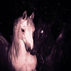 MAGNUS B2B G@MEBOY for Playground 1-YR