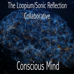 Conscious Mind