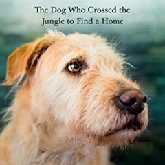 [Free] EPUB 📪 Arthur: The Dog who Crossed the Jungle to Find a Home by  Mikael Lindn