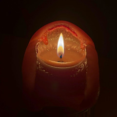 250209 // Murmurations